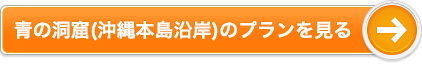青の洞窟(沖縄本島沿岸)のプランを見る