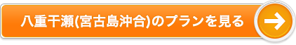 八重干瀬(宮古島沖合)のプランを見る