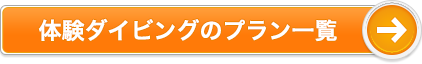 体験ダイビングのプラン一覧