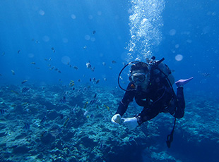 自由度の高いファンダイビング