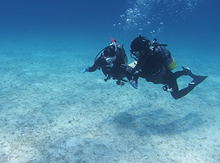 沖縄の綺麗な海で外洋講習