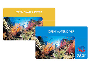 ライセンスカード