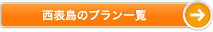 西表島のプラン一覧