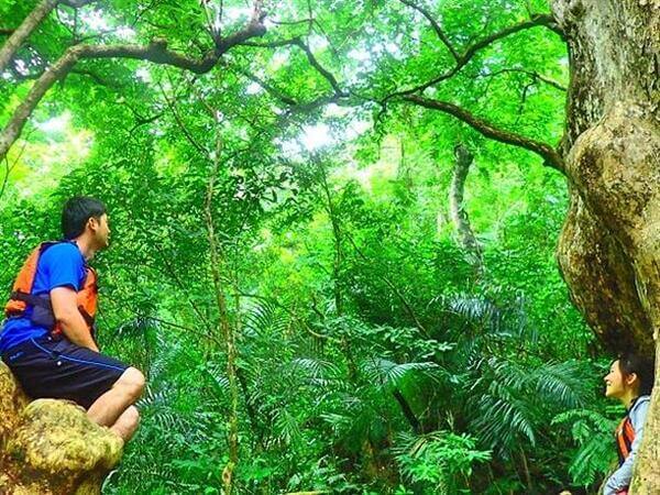 希少な動植物が暮らす秘境の島
