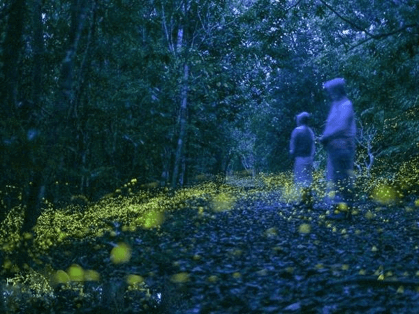 季節ごとの見どころ1