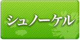 石垣島 シュノーケリング