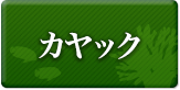 石垣島 カヤック