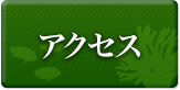 石垣島 アクセス