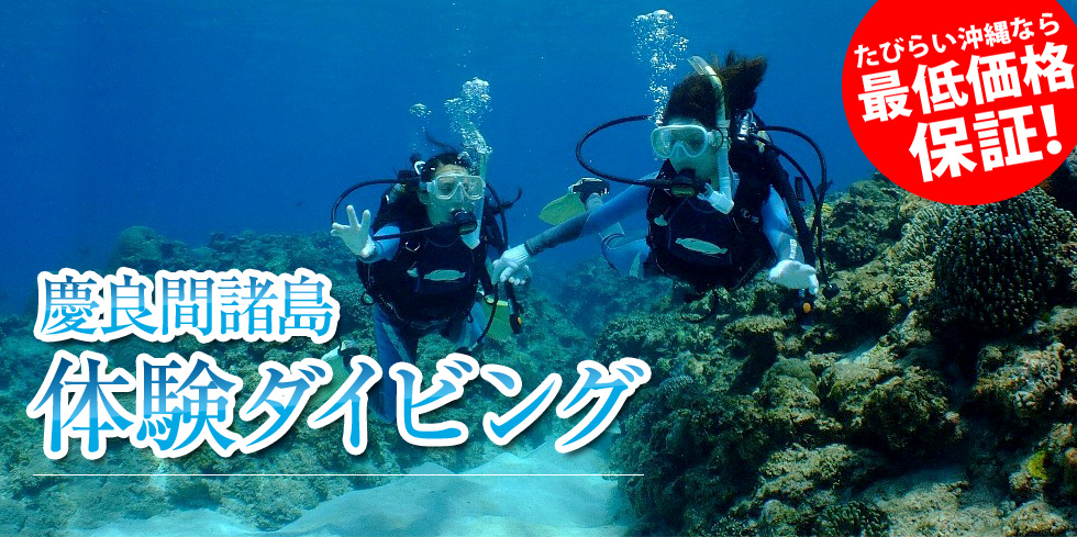 慶良間諸島 体験ダイビング