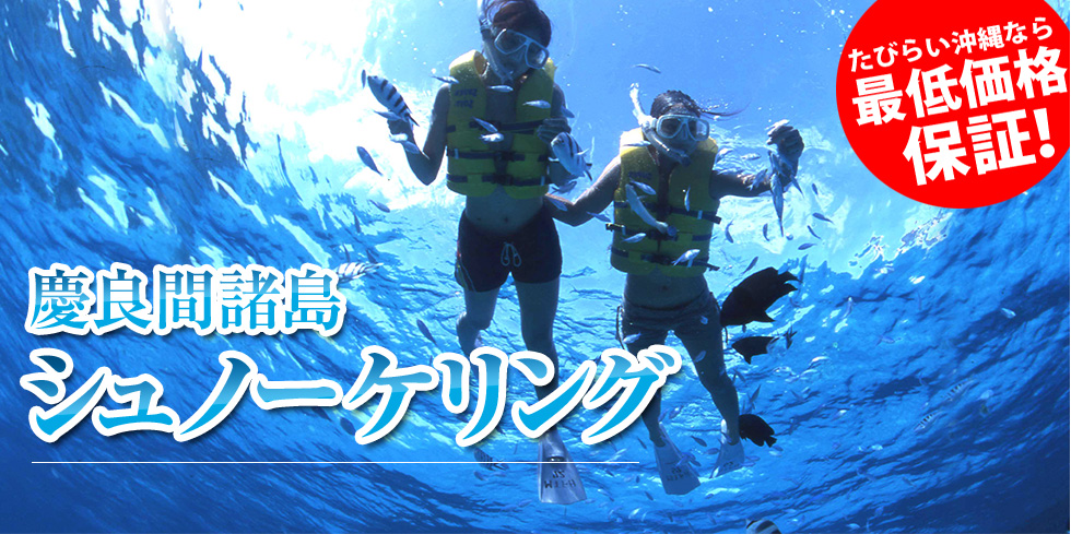慶良間諸島 シュノーケリング