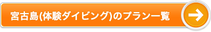 宮古島(体験ダイビング)の人気プラン一覧