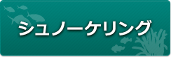 シュノーケリング
