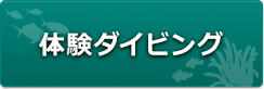 体験ダイビング