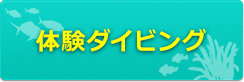 体験ダイビング