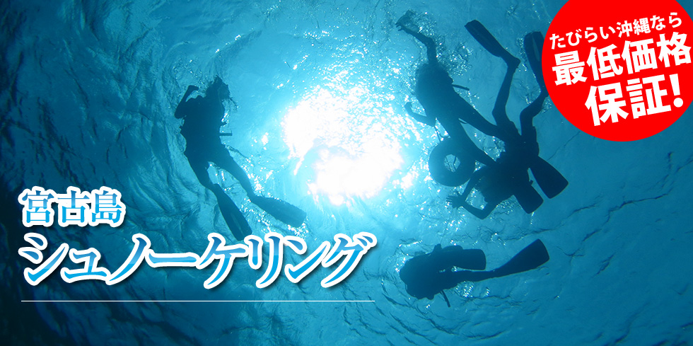 宮古島シュノーケリング