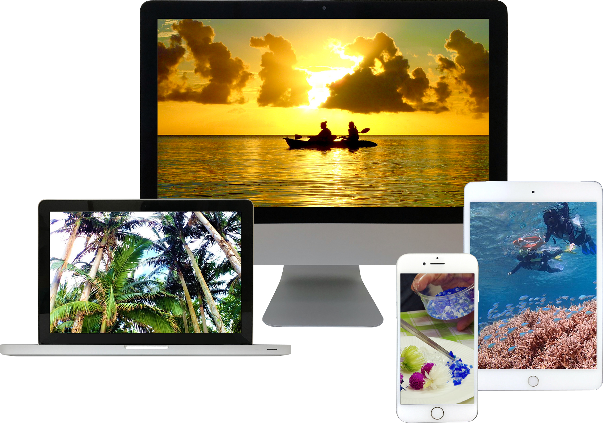 オンライン体験とは…？