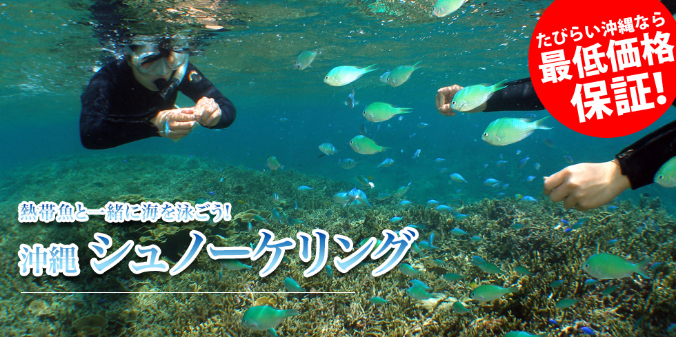 沖縄シュノーケリング