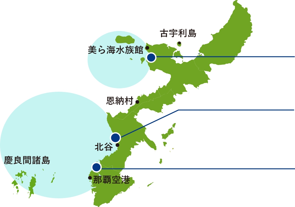 ホエールウォッチングのエリア別の地図