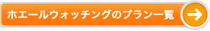 ホエールウォッチングのプラン一覧