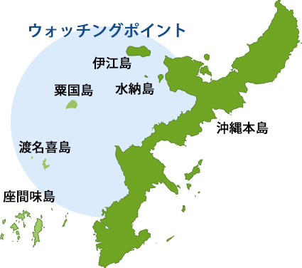 沖縄本島周辺のウォッチングポイント