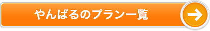 やんばるのプラン一覧