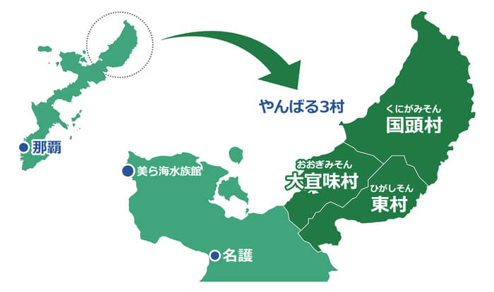 やんばる (大宜見・東・国頭) 本島北部 (名護・本部本島) 恩納村・西海岸 本島中部 (北谷・うるま・読谷) 那覇・本島南部