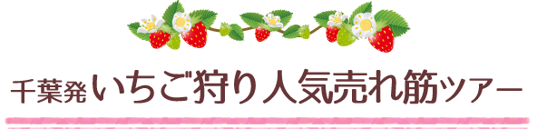 千葉発 いちご狩り売れ筋バスツアー