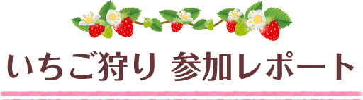 いちご狩り参加レポート