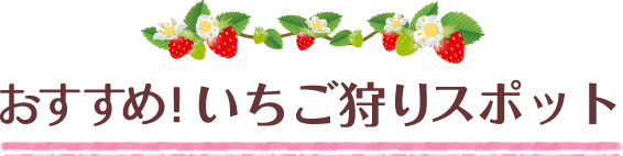 おすすめ！いちご狩りスポット