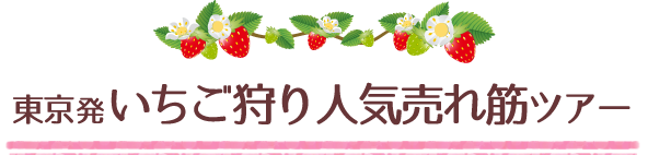 東京発いちご狩り人気売れ筋バスツアー
