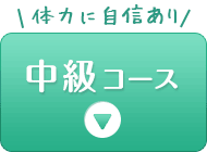 中級コース