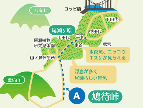 尾瀬日帰りコース