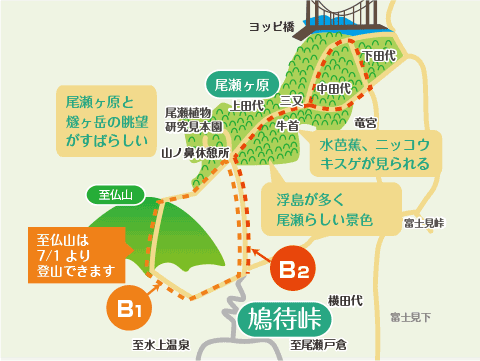 尾瀬中級コース