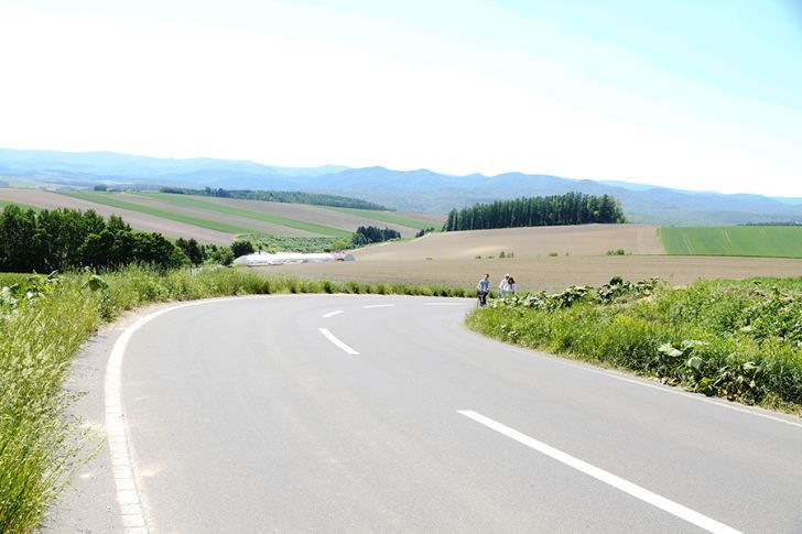 パッチワークの路を車窓から楽しもう