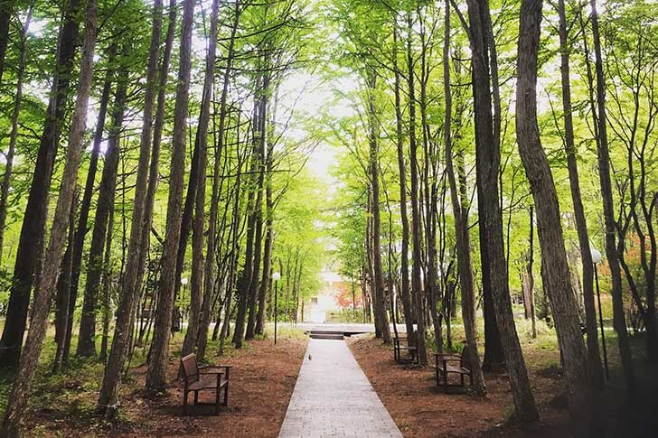 真夏でも涼しい軽井沢へ