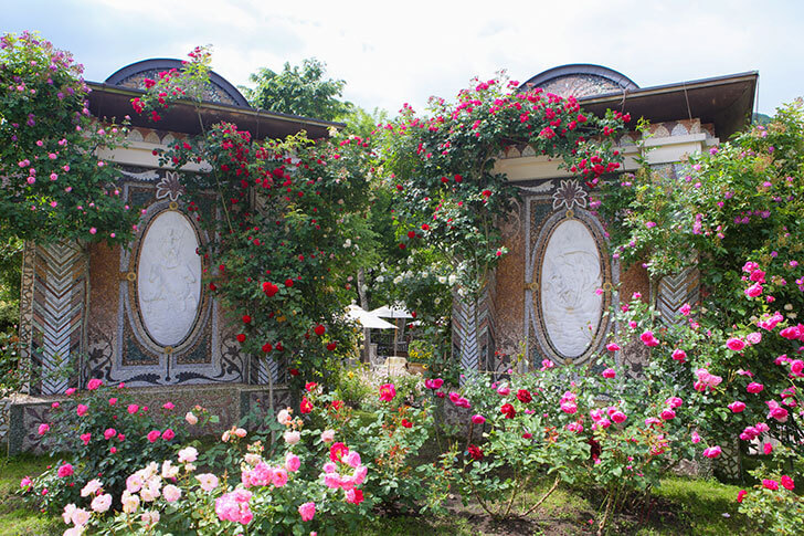 箱根ガラスの森美術館の庭園では、5月下旬から6月下旬頃を中心に約200種300株のバラが咲き競います。