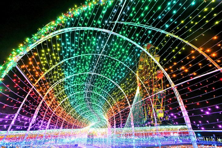 バスで行く！東京ドイツ村イルミネーション