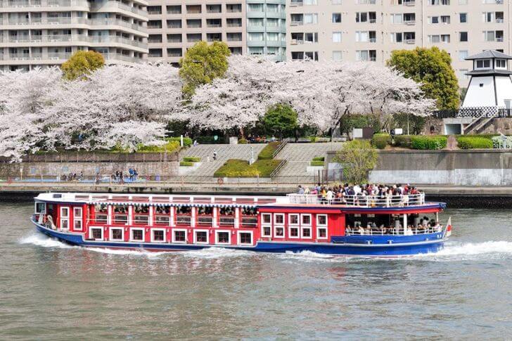 うららかな春を満喫！隅田川お花見クルーズ