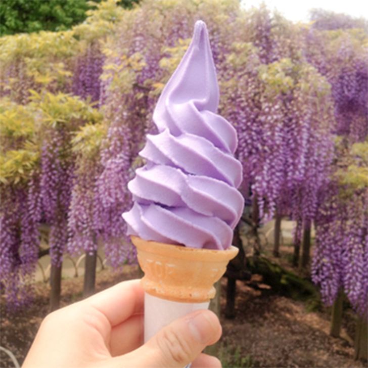 藤の花ソフト。藤の花の香りで、色も紫！