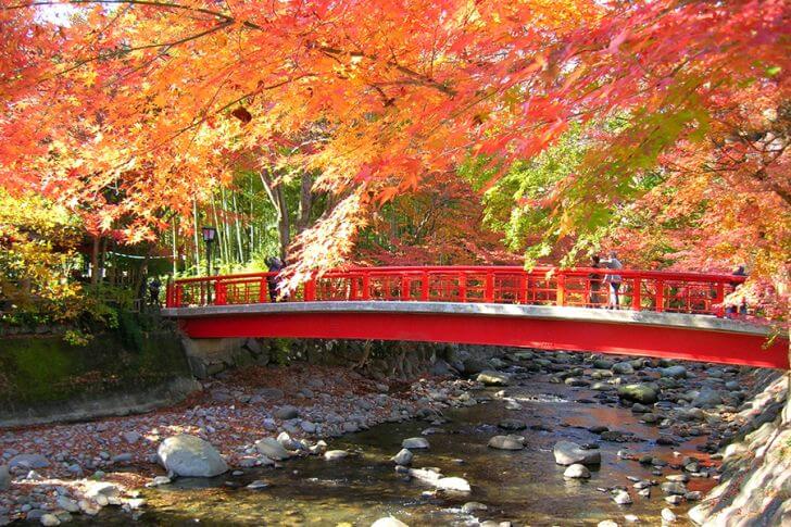 伊豆の紅葉名所！秋の修善寺温泉 湯どころ散歩