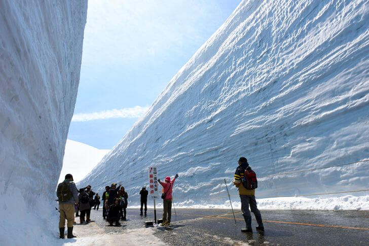 高さ20mの雪の壁！立山・雪の大谷ウォーク2025