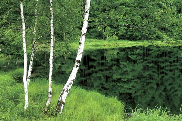 昭和8年につくられた御射鹿池。強酸性の水質のため、魚などは棲息しておらず、独自の風景を作り上げています。(写真提供:長野県観光機構)