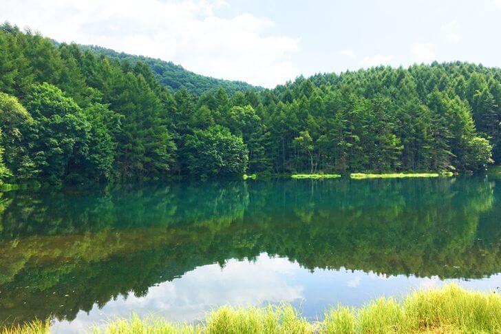 晴れた日の御射鹿池。静けさとともに、鳥のさえずりが聞こえてきそうな一枚。