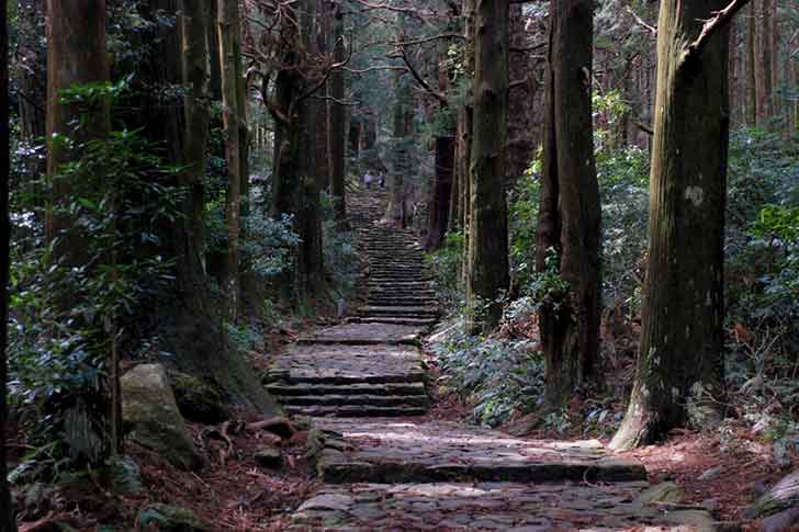 熊野古道の大門坂（写真提供：熊野那智大社）