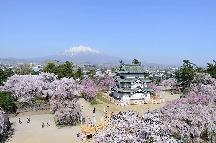 弘前城の奥に見えるのが、津軽富士と言われる「岩木山」。