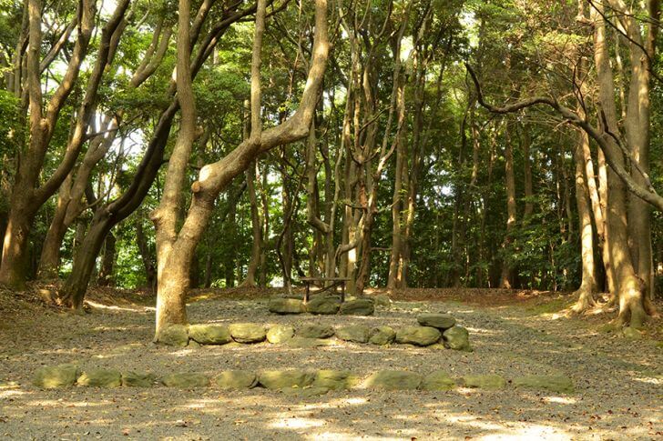 宗像三女神の降臨地と言われている、高宮祭場。間近で見られます。
