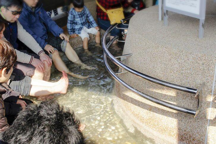さくらの足湯。歩き疲れた足もリフレッシュ！（タオル持参）