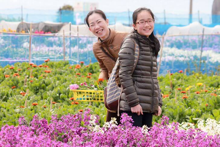 千倉の花畑（南房総市）