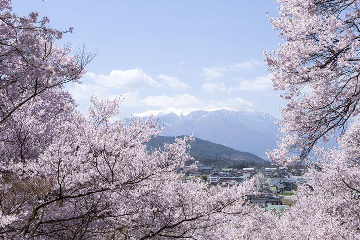 高遠城址公園からのながめ