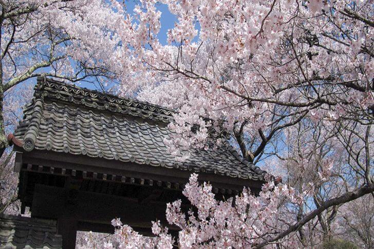 高遠城址公園の問屋門